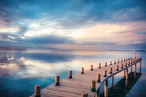 深圳高端马场排名前十的公司